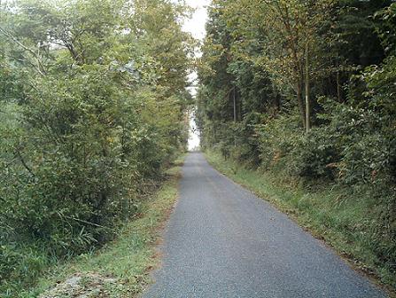 舗装林道の写真